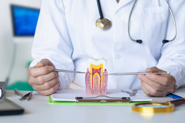 Best Emergency Dentist for Lost Fillings or Crowns in Van Vleck, TX
